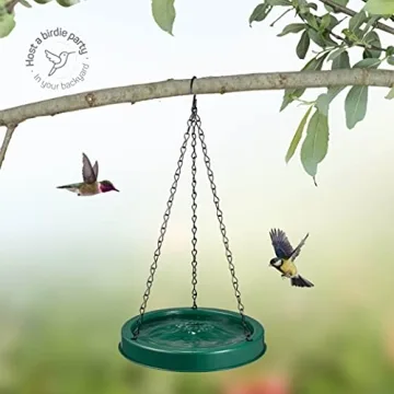 Durable 10 oz Hummingbird Feeder for Birdwatching Enthusiasts