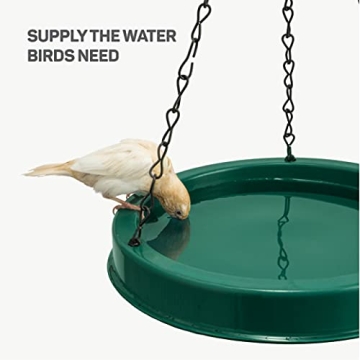 Durable 10 oz Hummingbird Feeder for Birdwatching Enthusiasts