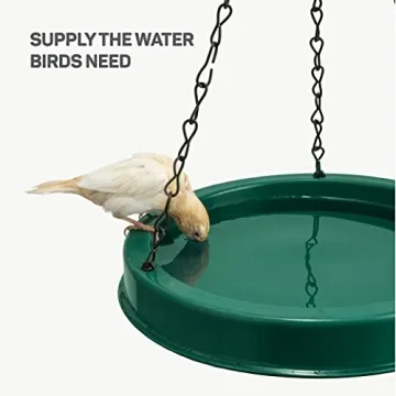 Durable 10 oz Hummingbird Feeder for Birdwatching Enthusiasts