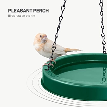 Durable 10 oz Hummingbird Feeder for Birdwatching Enthusiasts