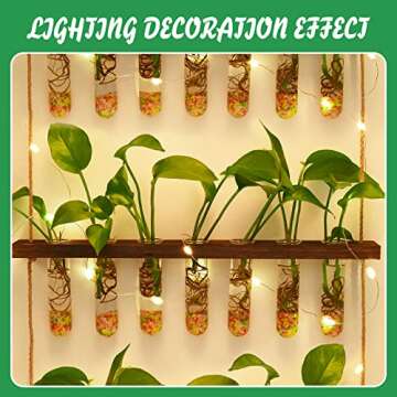 EVEAGE Propagation Station, Wall Hanging Planter Terrarium Retro 3 Tiered Propagation Test Tube for Hydroponic Plants Cutting Home Office Garden Decor with 22 Glass Tubes (Fairy Light Style)
