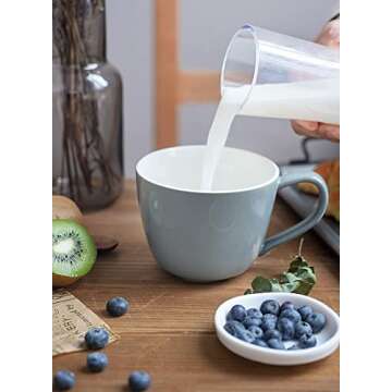 Sweese Coffee Mug, 17 Ounce Porcelain Soup Mugs with Handles, Jumbo Mugs Set of 2, Large Coffee Mugs for Coffee, Tea, Soup, Ice Cream, Cereal, Gray No.620.213