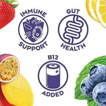 Humm Probiotic Kombucha Best Sellers Variety 12 Pack, Organic, 2 Billion Probiotics for Gut Health, Mango Passionfruit, Blueberry Mint and Strawberry Lemonade