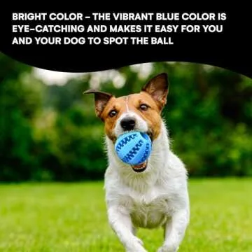 Black Rhino Interactive Dog Chew Toy Ball - Bite-Resistant Dog Treat Ball Dispenser Feeder - Ideal as Dog Puzzle Toys for Dog Boredom, Puppy Teething & Mind Stimulating Training Exercise (Pack of 2)