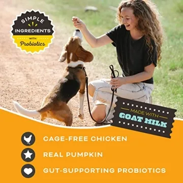 Premium Freeze Dried Dog Treats - Chicken & Pumpkin Flavor