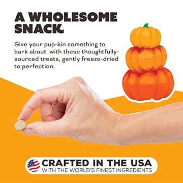 Premium Freeze Dried Dog Treats - Chicken & Pumpkin Flavor