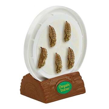 Insect Lore Cup of Caterpillars with Deluxe Chrysalis Station Live Habitat Kit Refill
