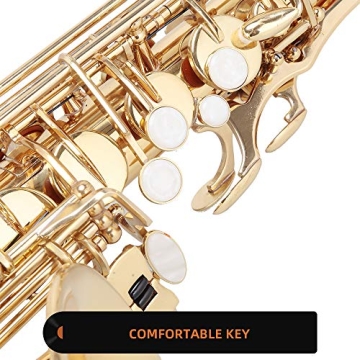 Glarry Student Alto Saxophone Kit for Beginners