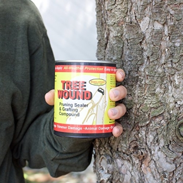 Tanglefoot Tree Wound Sealer for Effective Plant Repair