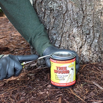 Tanglefoot Tree Wound Sealer for Effective Plant Repair