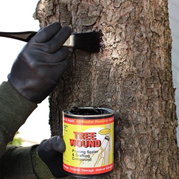 Tanglefoot Tree Wound Sealer for Effective Plant Repair