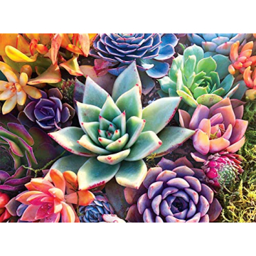 Buffalo Games - James Mertke - Simple Succulent - 1000 Piece Jigsaw Puzzle For Adults - High Quality...