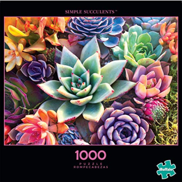Buffalo Games - James Mertke - Simple Succulent - 1000 Piece Jigsaw Puzzle For Adults - High Quality Challenging Puzzle Perfect for Game Nights - Finished Puzzle Size is 26.75 x 19.75