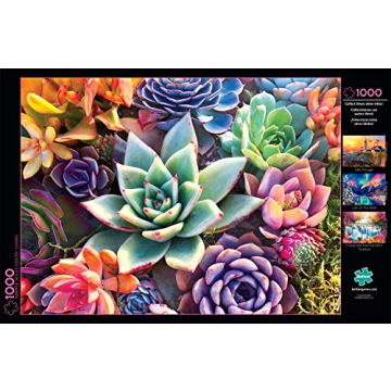 Buffalo Games - James Mertke - Simple Succulent - 1000 Piece Jigsaw Puzzle For Adults - High Quality Challenging Puzzle Perfect for Game Nights - Finished Puzzle Size is 26.75 x 19.75