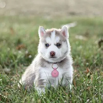 Nereides AirTag Keychain Stylish Leather Protection