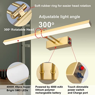 KANESIKI Rechargeable Rotatable Picture Light for Art Display