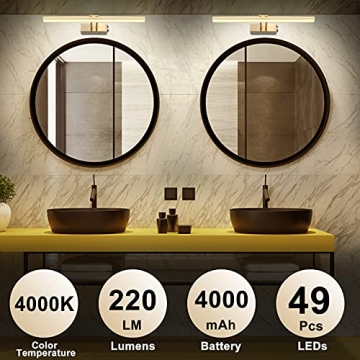 KANESIKI Rechargeable Rotatable Picture Light for Art Display