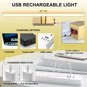 KANESIKI Rechargeable Rotatable Picture Light for Art Display