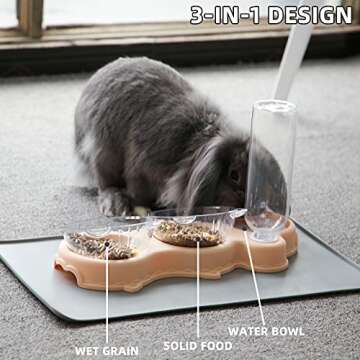 IFOUG Cat Bowls for Food and Water, Plastic Raised Cat Food Dishes with Waterproof Mat, Automatic Water Bottle, Wet and Dry Food Bowl Set for Cats and Small Dogs