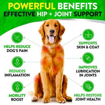 Hemp Hip and Joint Supplement for Dogs - Glucosamine for Dogs - 170 Dog Joint Pain Relief Treats - C...