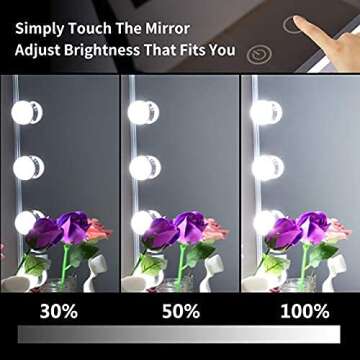 Nitin Hollywood Vanity Mirror with Dimmable Lights