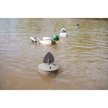 MOJO Outdoors Flock A Flicker 2 - 4 Pack Duck Decoys
