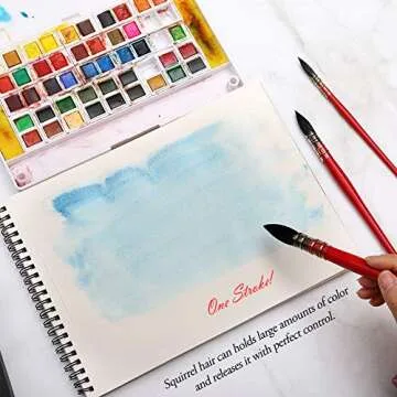 Dainayw Professional Watercolor Brushes for Artists