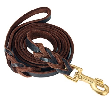 Durable FOCUSPET Leather Dog Leash for Walking & Training