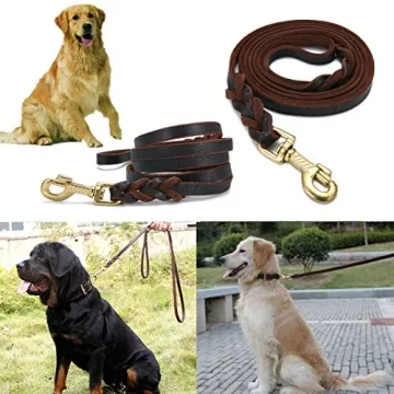 FOCUSPET Leather Dog Leash for Walking and Training