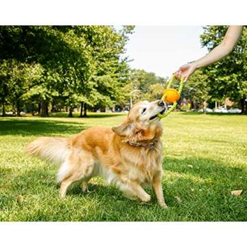 Hartz DuraPlay Bacon Scented Dog Toys, Medium/Large for All Breed Sizes