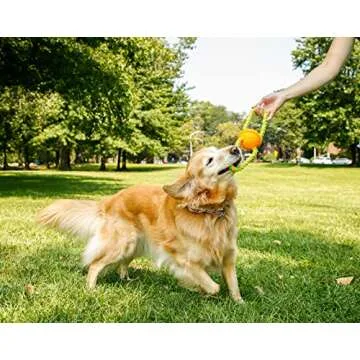 Hartz DuraPlay Bacon Scented Dog Toys, Medium/Large for All Breed Sizes