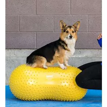 FitPAWS® TRAX™ Balance Peanut – 40cm/16” | Dog Exercise Equipment for Fitness & Rehabilitatio...