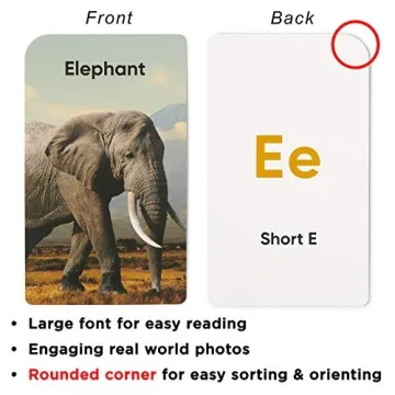 Think Tank Scholar Alphabet Flash Cards for Kids