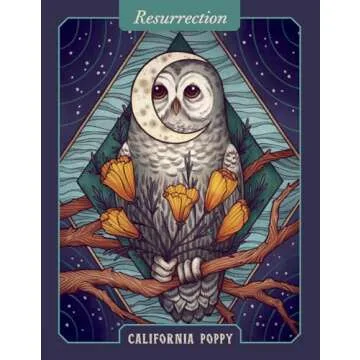 Illustrated Herbiary Oracle Cards for Wisdom and Growth