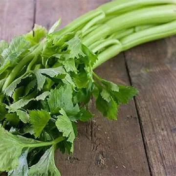 Gaea's Blessing Celery Seeds - Non-GMO Heirloom Variety