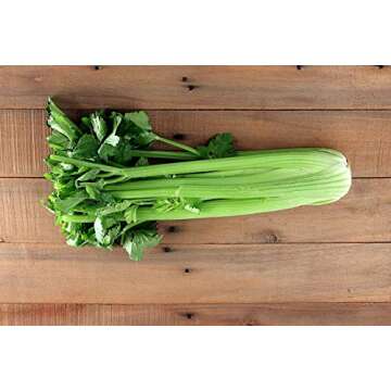 Gaea's Blessing Celery Seeds - Non-GMO Heirloom Variety