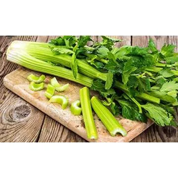 Gaea's Blessing Celery Seeds - Non-GMO Heirloom Variety