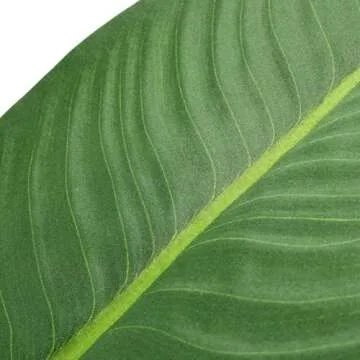 Artificial Tree in Modern Granite Effect Planter, Fake Bird of Paradise Silk Tree for Indoor and Outdoor Home Decoration - 67" Overall Tall (Plant Pot Plus Tree)