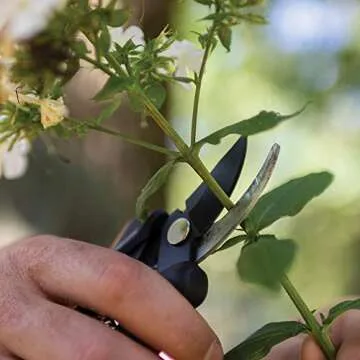 Fiskars Floral Pruning Shears - Plant Cutting Scissors/Garden Clippers For Deadheading and Working with Flowers - Black/Orange