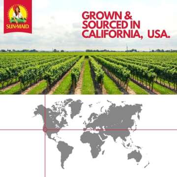 Sun-Maid Organic California Sun-Dried Raisins - 32 oz Resealable Bag - Organic Dried Fruit Snack for Lunches, Snacks, and Natural Sweeteners