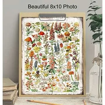 Rustic Botanical Fleurs Flowers Chart - Living Room, Bedroom Home Decor - French Vintage Sign Wall Art - Adolphe Millot Gift -8x10 Boho Country Shabby Chic Farmhouse Style Picture Poster Print