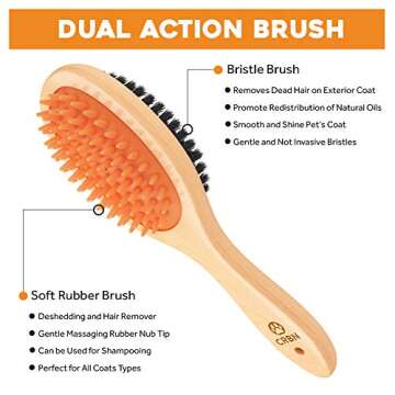 Best Dog Brush for Short Hair - Durable & Ergonomic