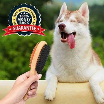 Best Dog Brush for Short Hair - Durable & Ergonomic