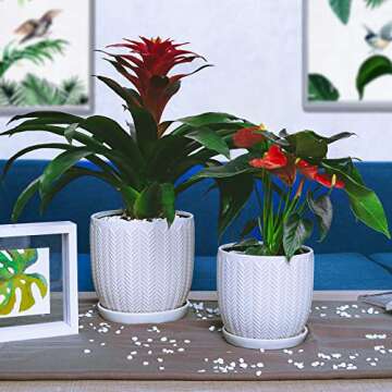 Voeveca Ceramic Flower Pot Garden Planters 6.5" and 5.5" Set of 2 with Drinage and Saucer Indoor Outdoor, Modern Nordic Style Plant Containers (White)