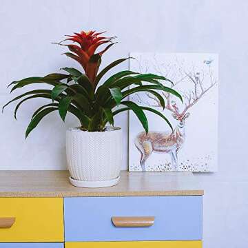 Voeveca Ceramic Flower Pot Garden Planters 6.5" and 5.5" Set of 2 with Drinage and Saucer Indoor Outdoor, Modern Nordic Style Plant Containers (White)