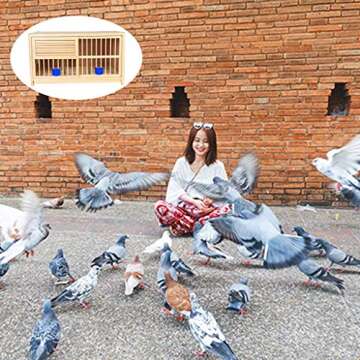 DXIUMZHP Solid Wood Pigeon Racing Nest Box - Durable & Eco-Friendly