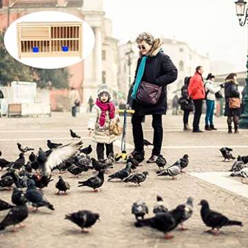 DXIUMZHP Pigeon Nest Box - Premium Bird Cage Set