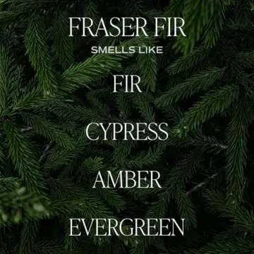 Sweet Water Decor Fraser Fir Christmas Candles - Christmas Stocking Stuffers Cypress, Evergreen & Pine Scented Candles - Scented Candles with 40 Hrs Burn Time - 9Oz Black Lid Amber Jar Wax Candles