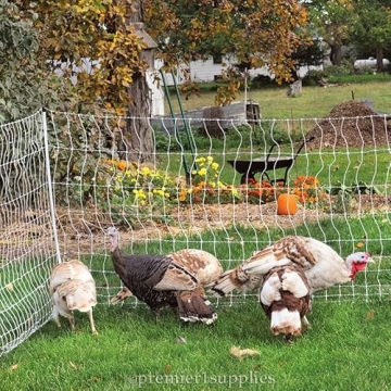 Premier 1 PoultryNet+ Electric Net Fence for Chickens