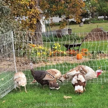 Premier 1 PoultryNet+ Electric Net Fence for Chickens